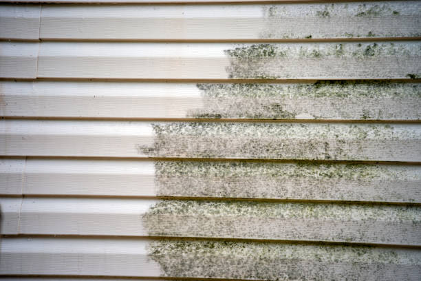 Same-Day Junk Removal Services in Monument Beach, MA